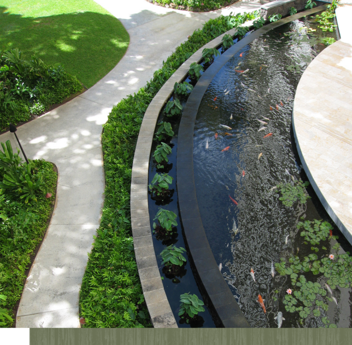 The Park on Ke'eaumoku's Lavish Landscape The Park on Keeaumoku